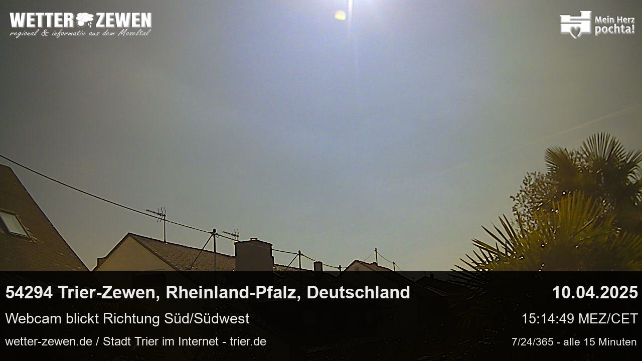 Bild