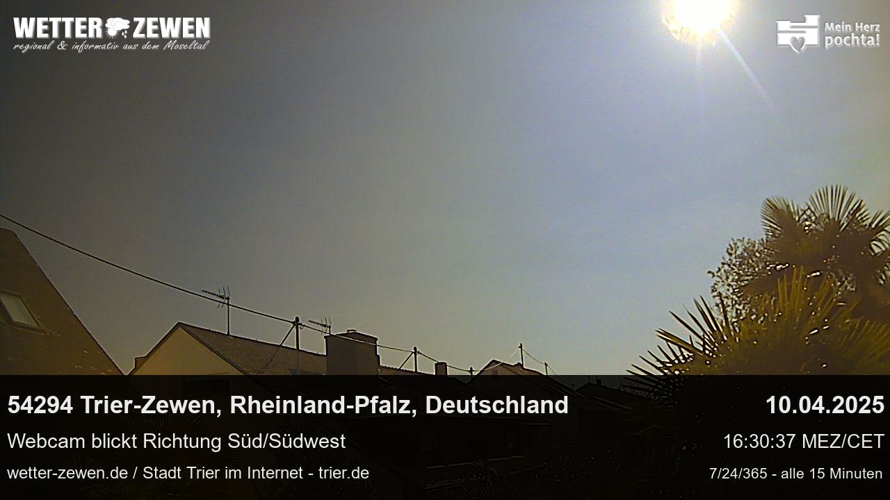 Bild
