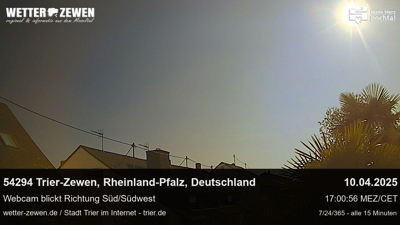 Bild