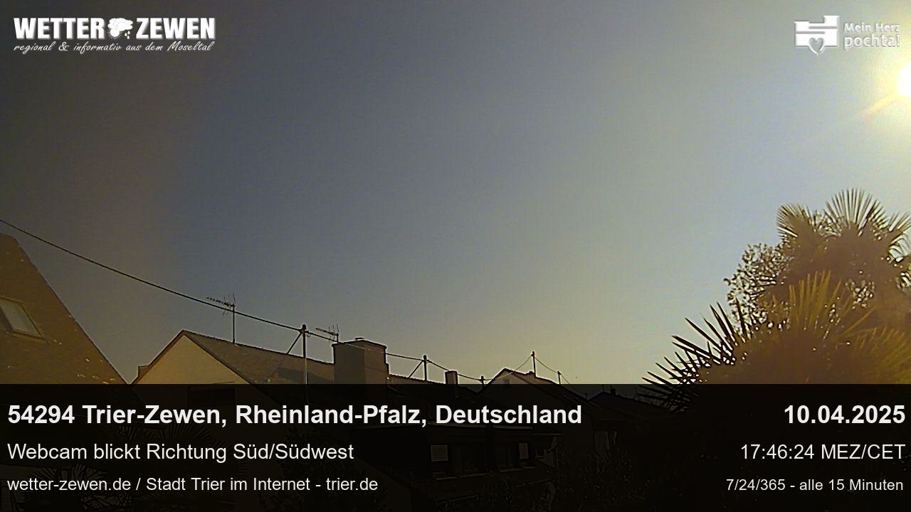 Bild