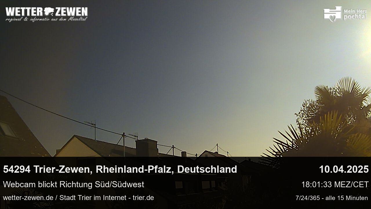 Bild