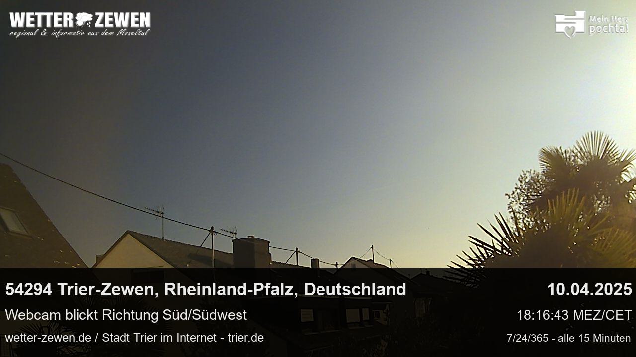 Bild