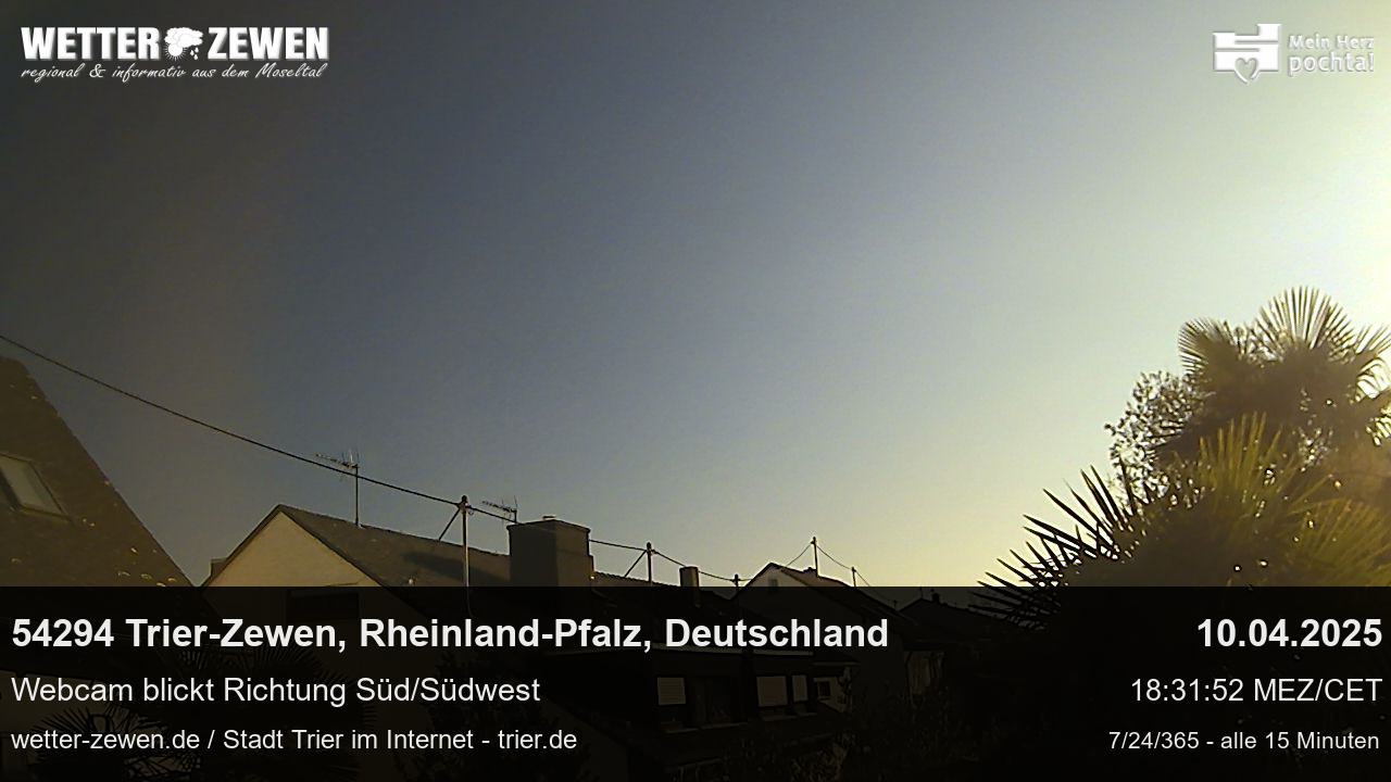 Bild