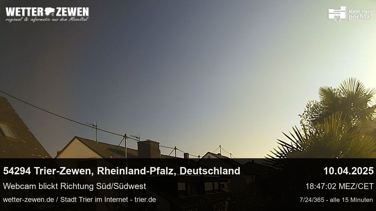 Bild