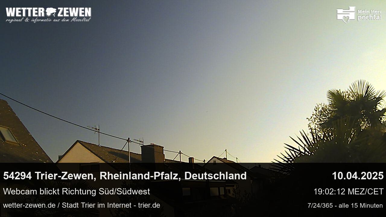 Bild
