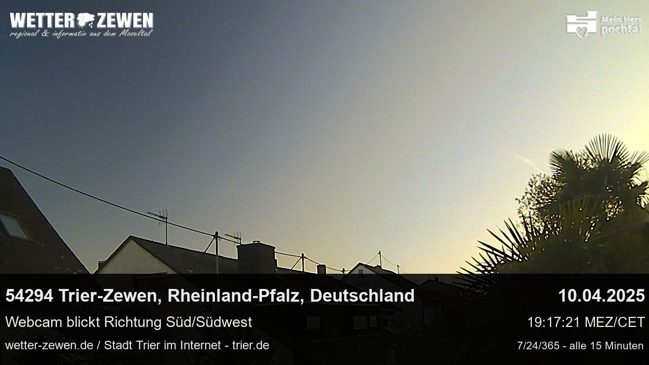 Bild