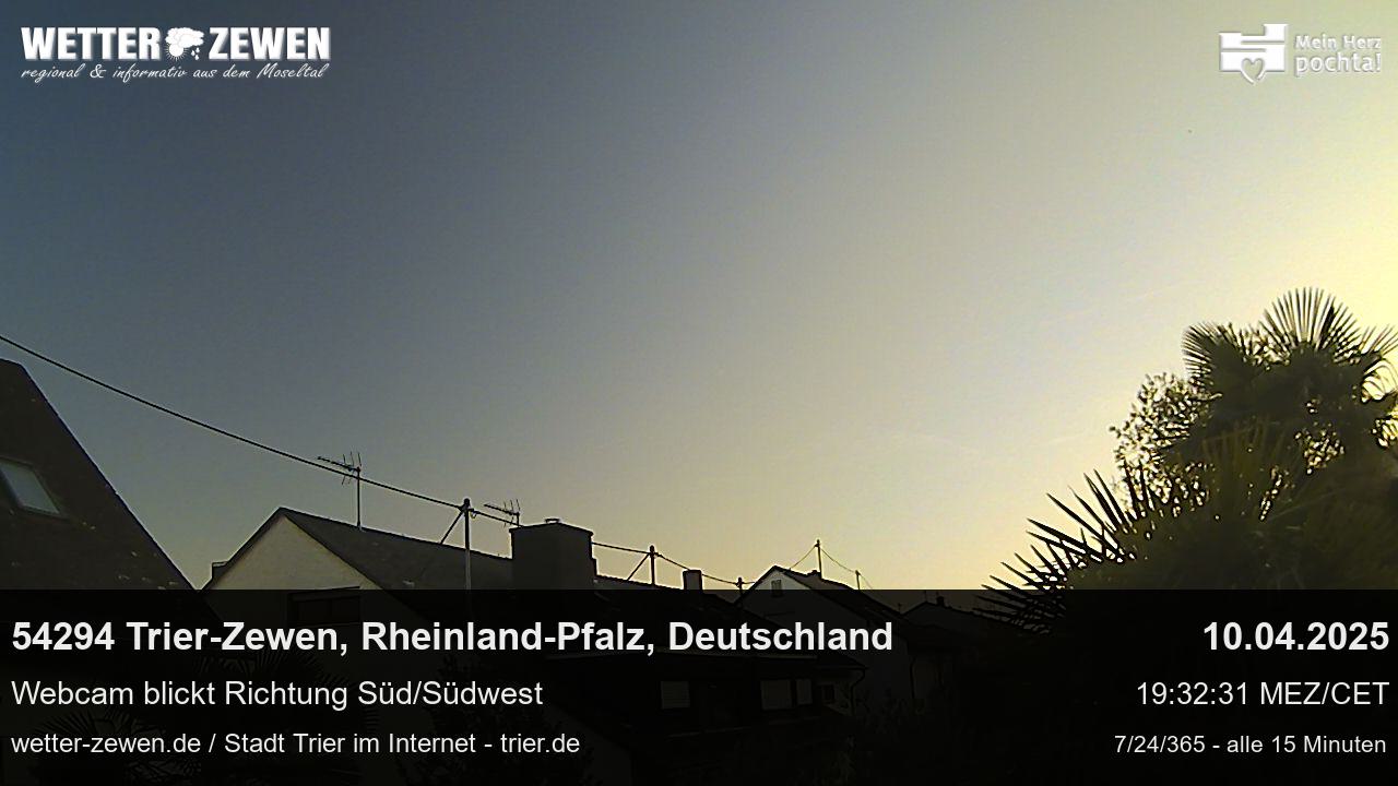Bild