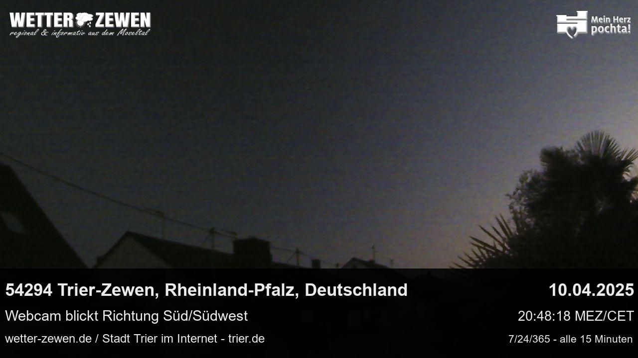 Bild