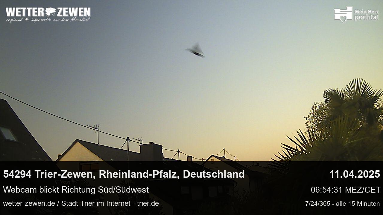Bild