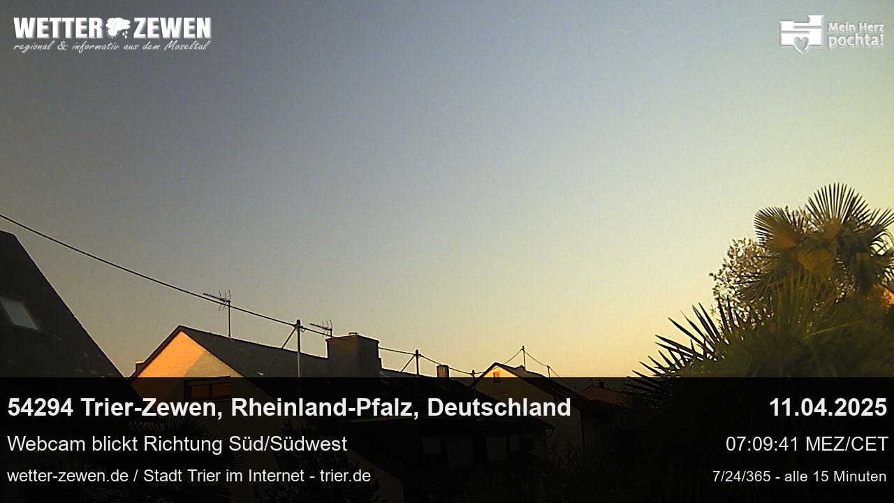 Bild