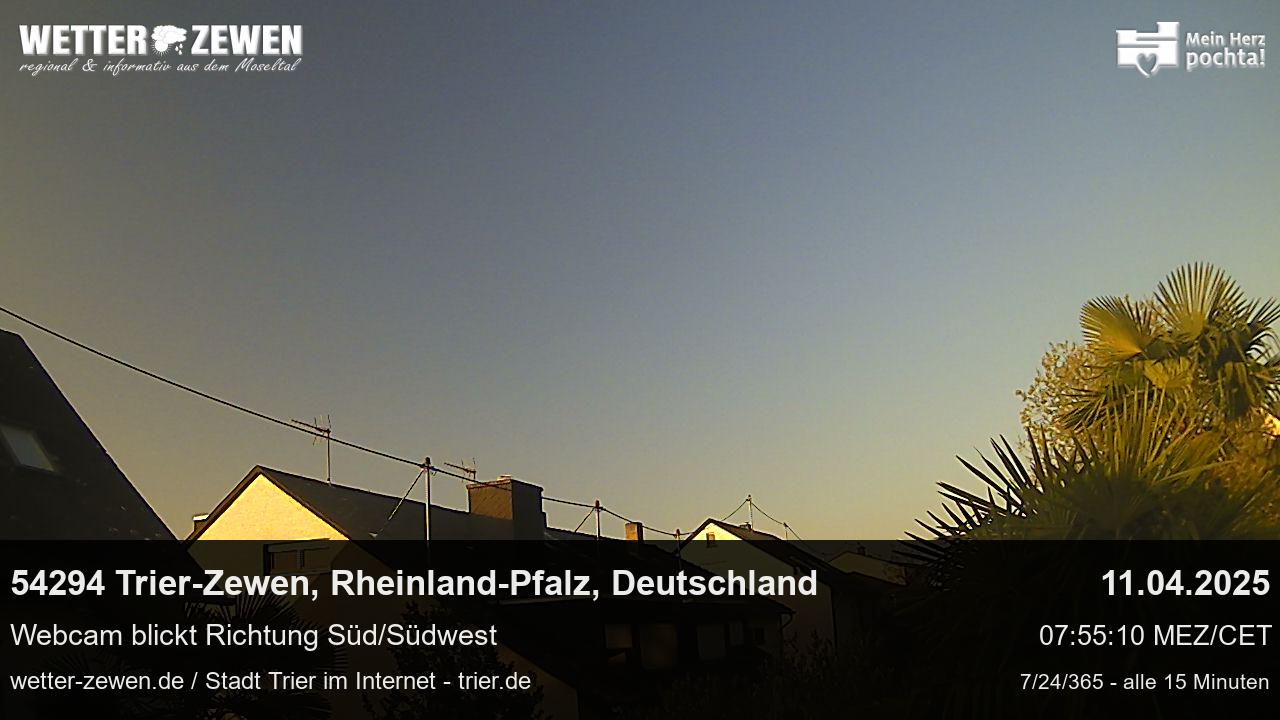 Bild