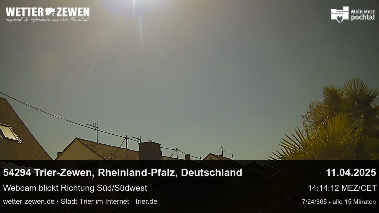 Bild