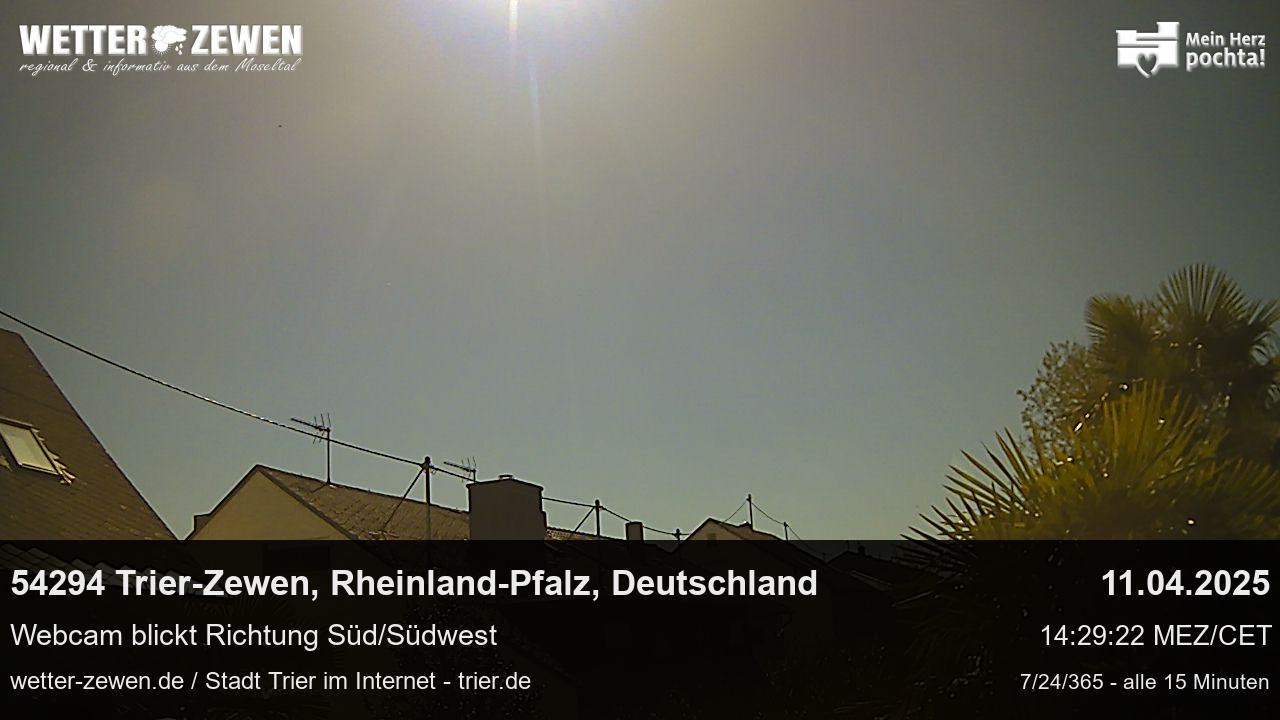 Bild