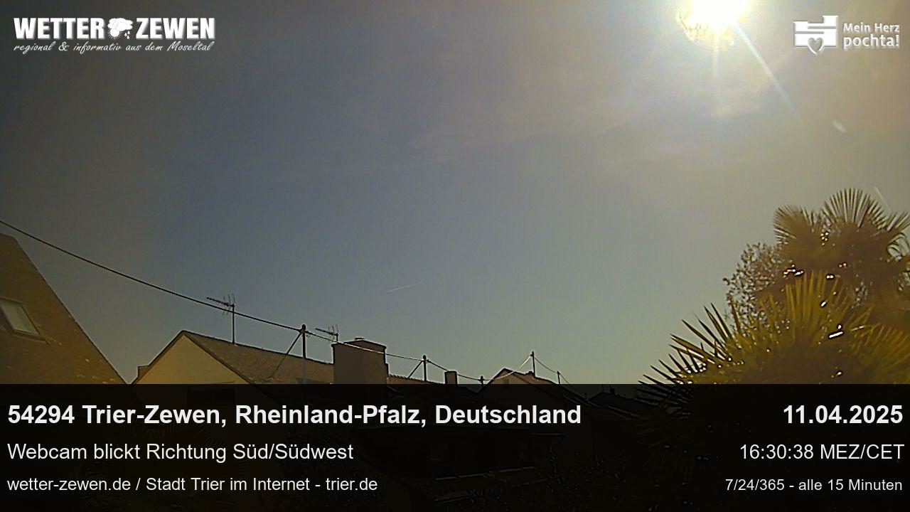 Bild