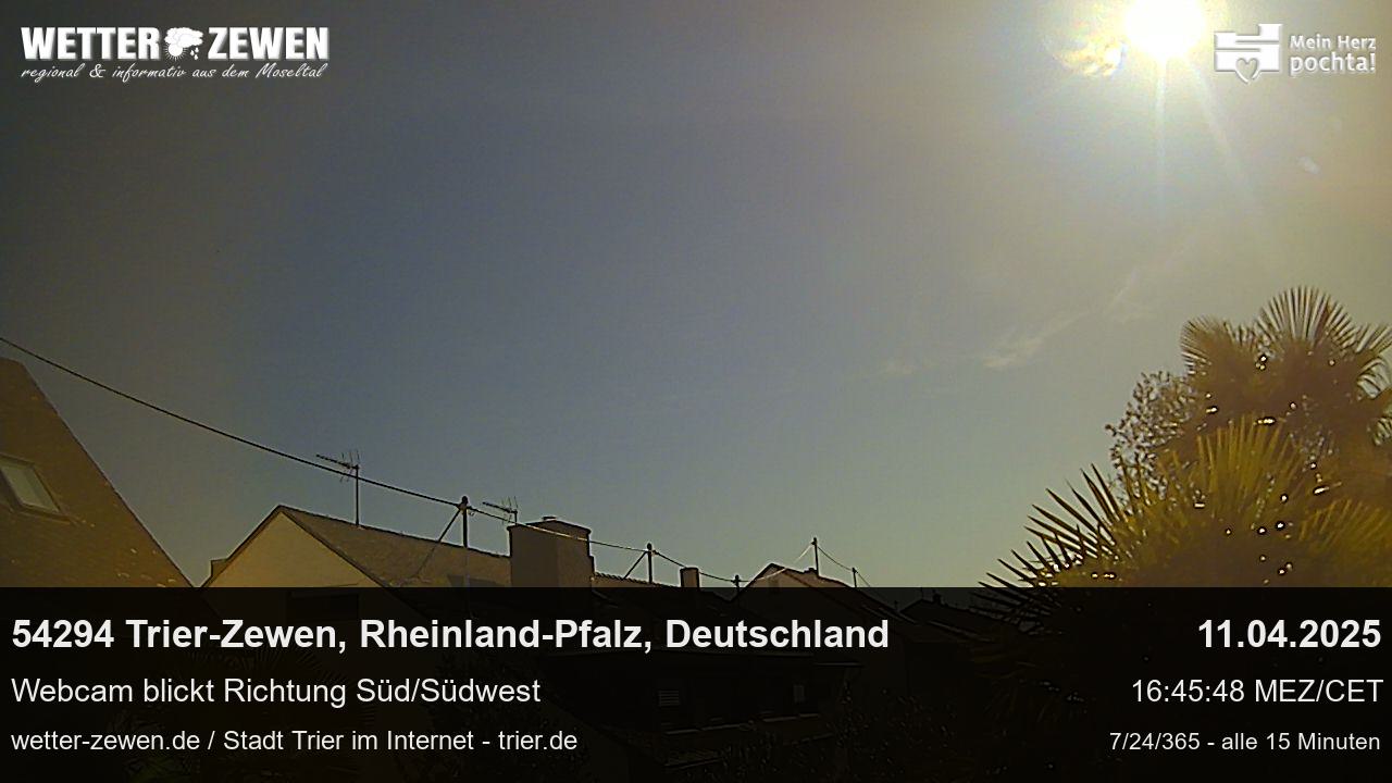 Bild