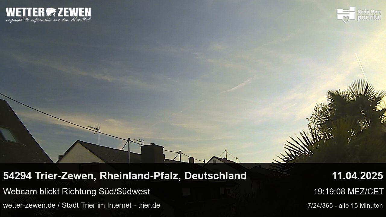 Bild