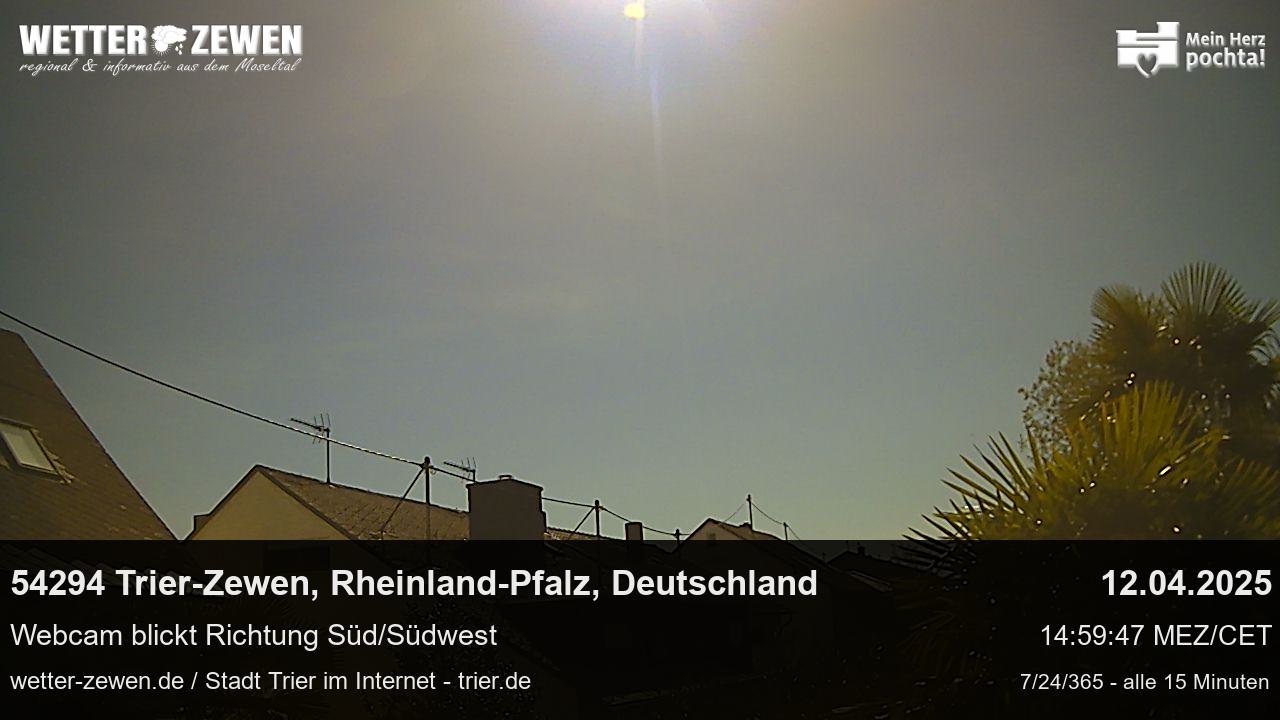 Bild