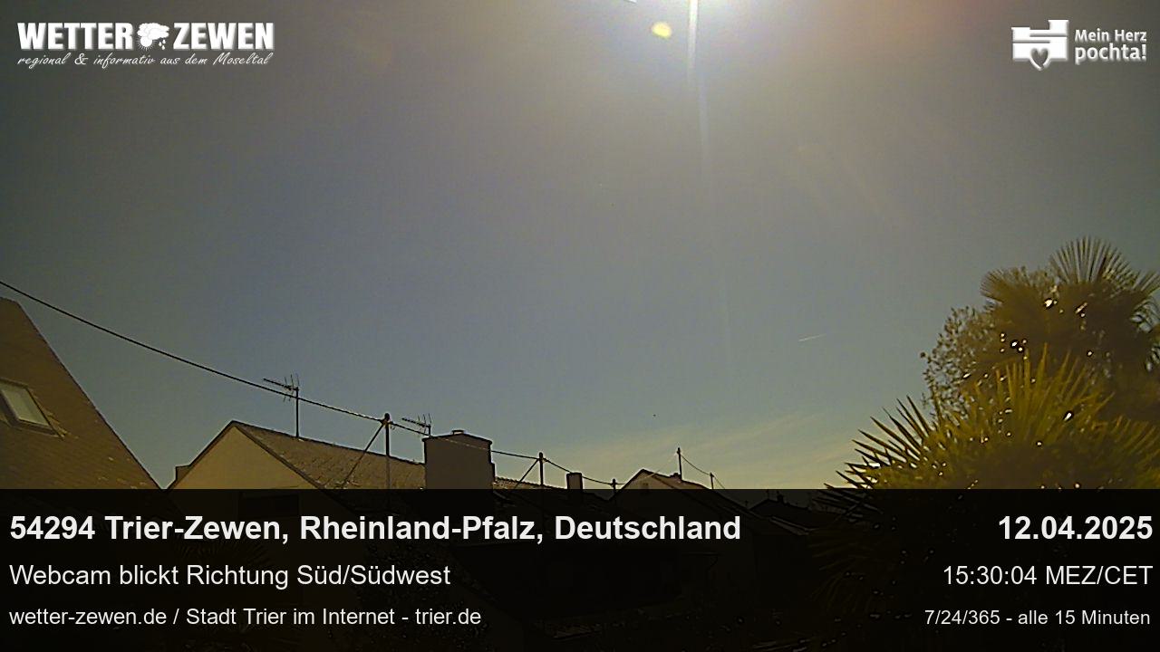 Bild