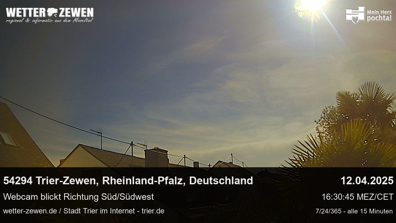 Bild