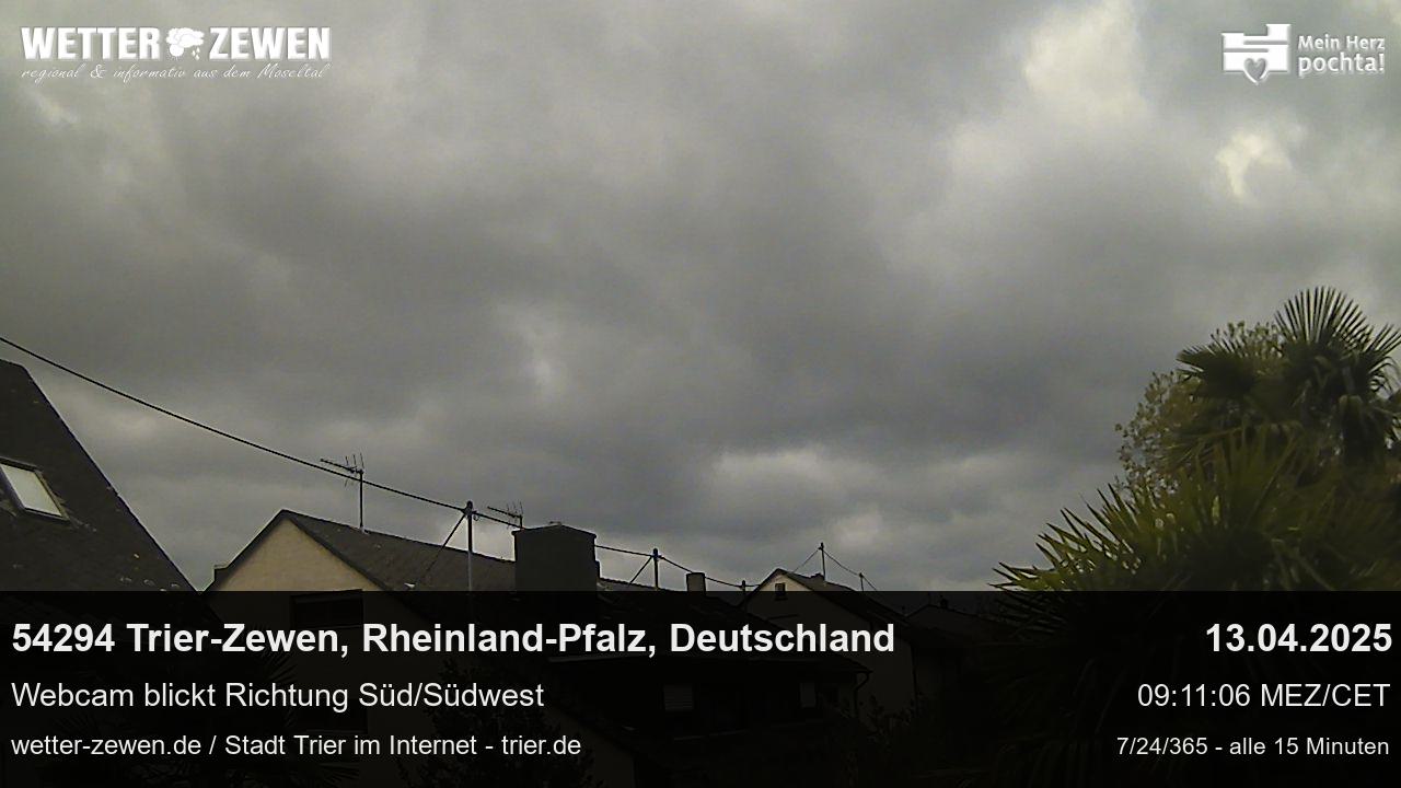 Bild