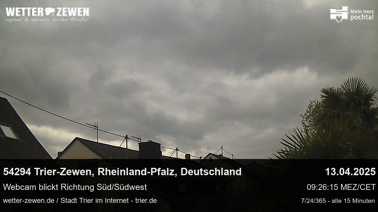 Bild