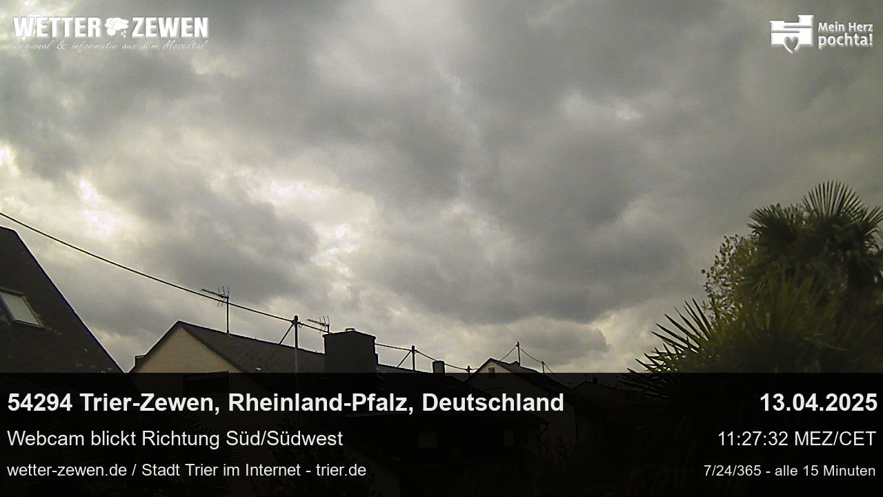 Bild