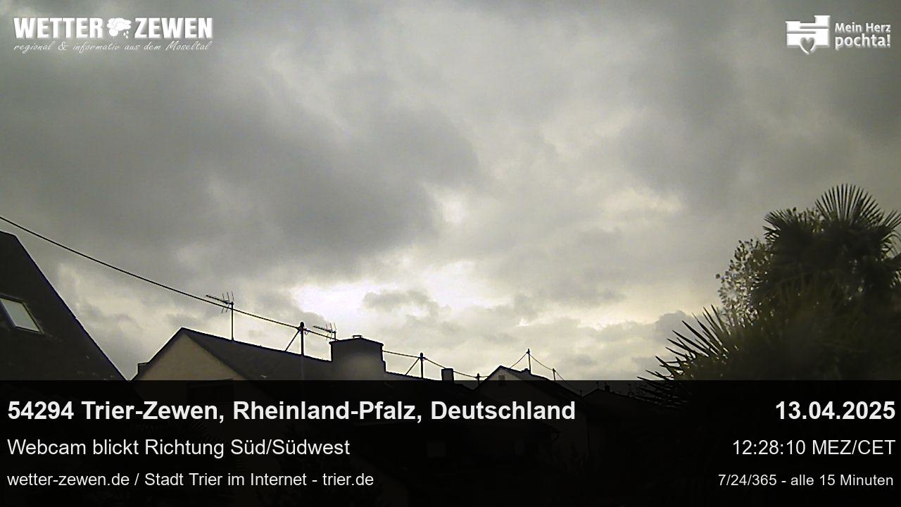 Bild