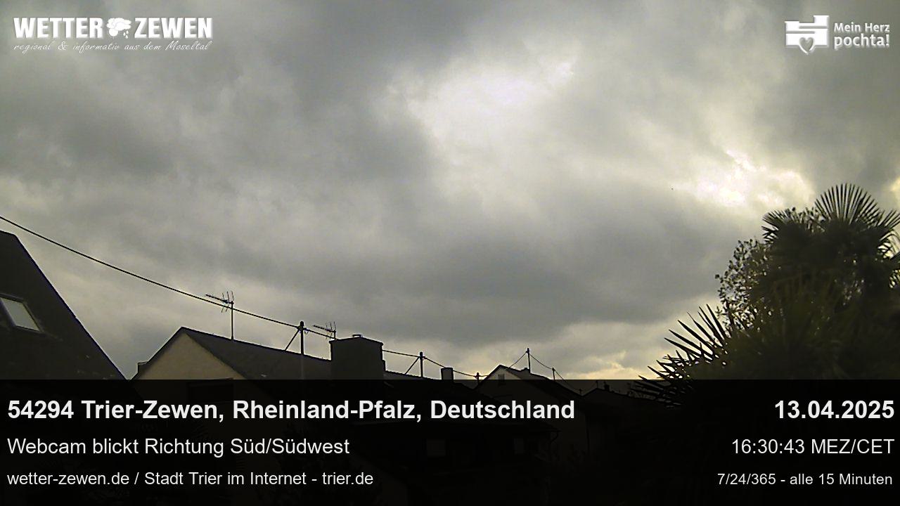 Bild