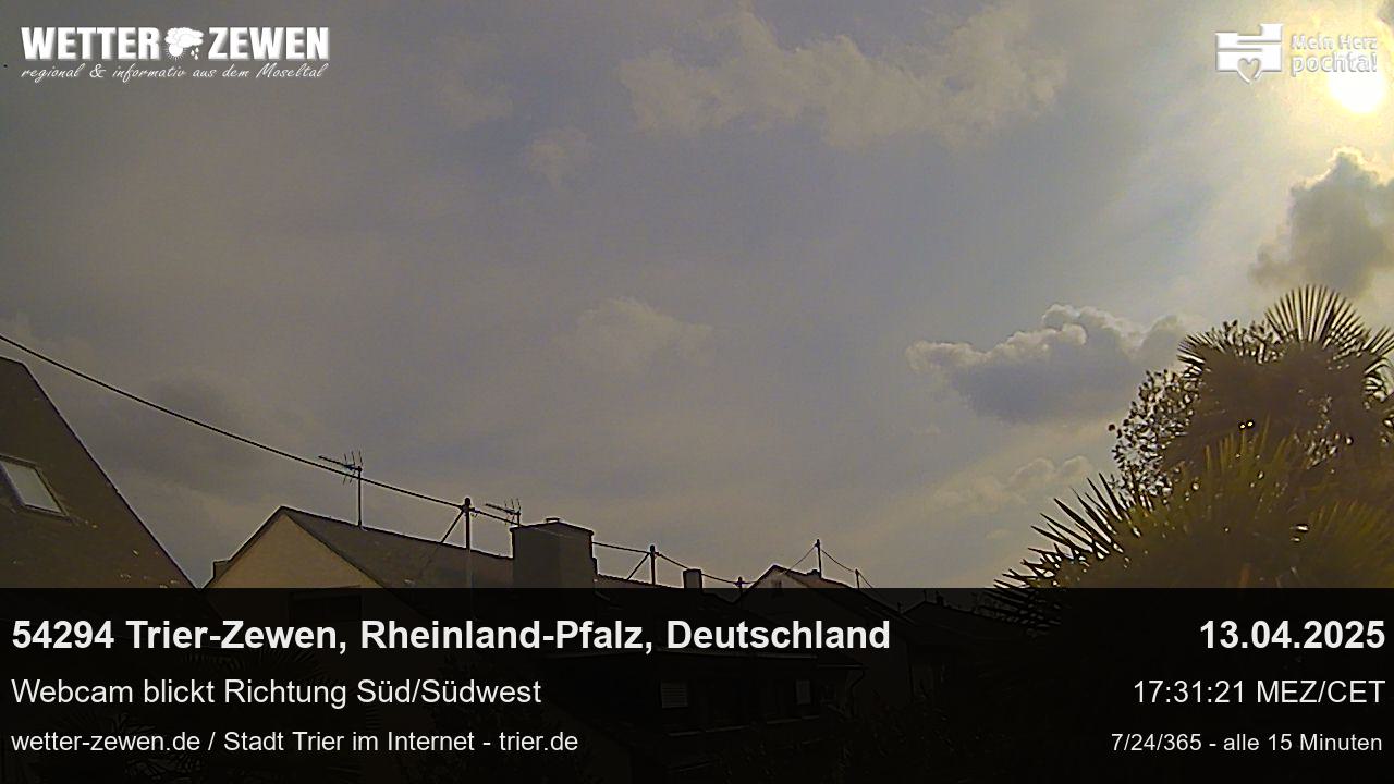 Bild