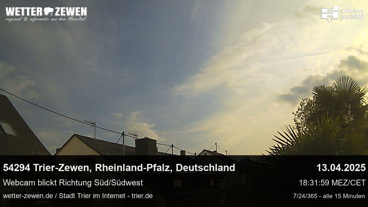 Bild