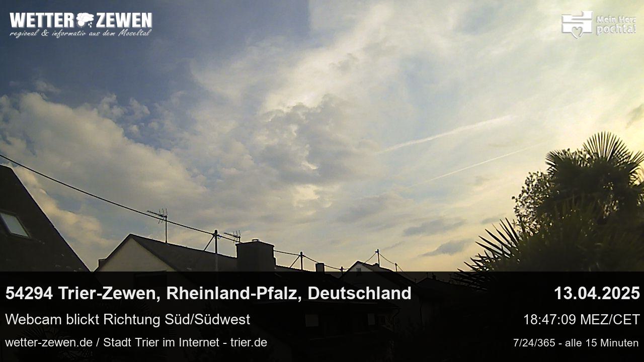 Bild