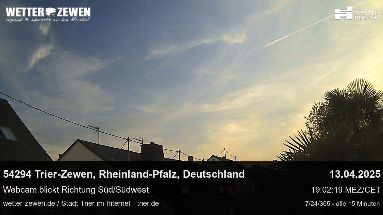 Bild