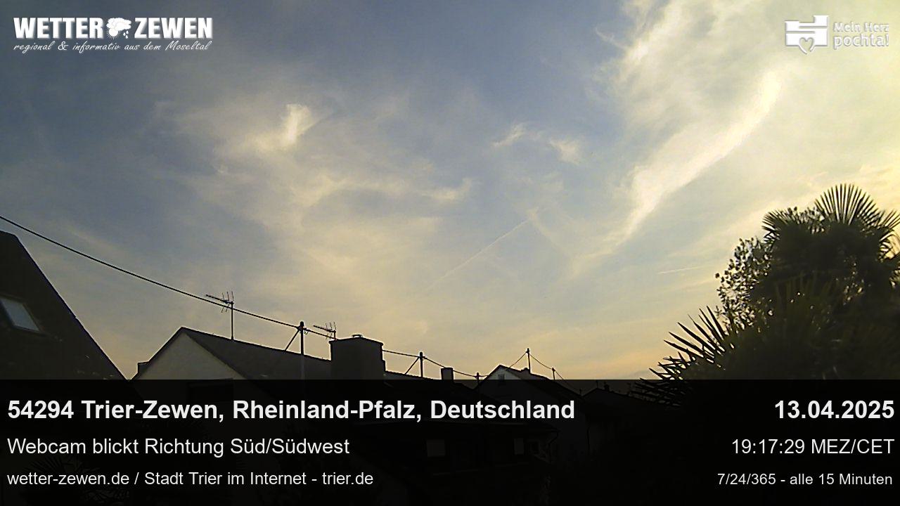 Bild