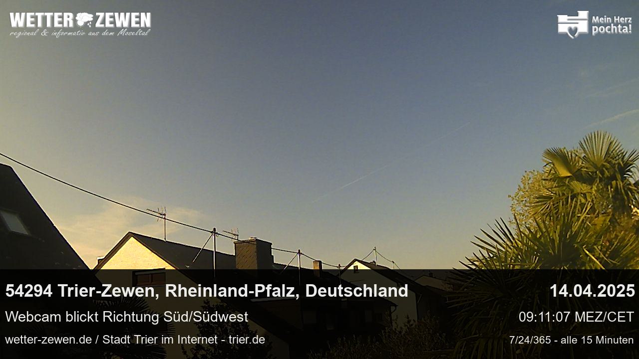 Bild