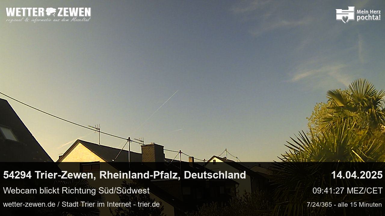 Bild