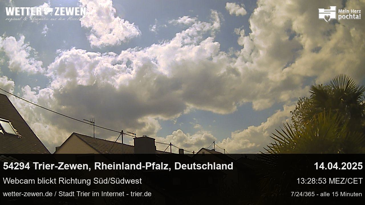 Bild
