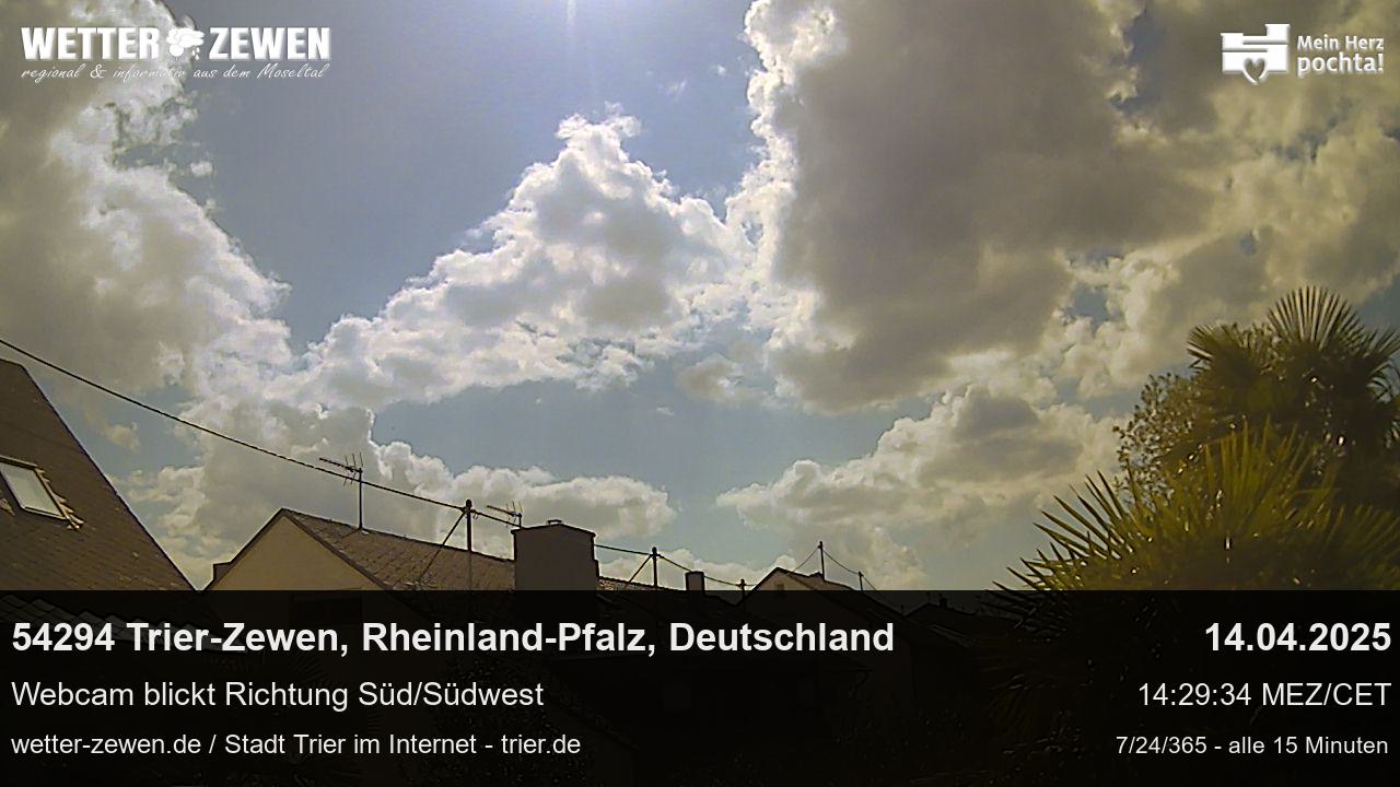Bild