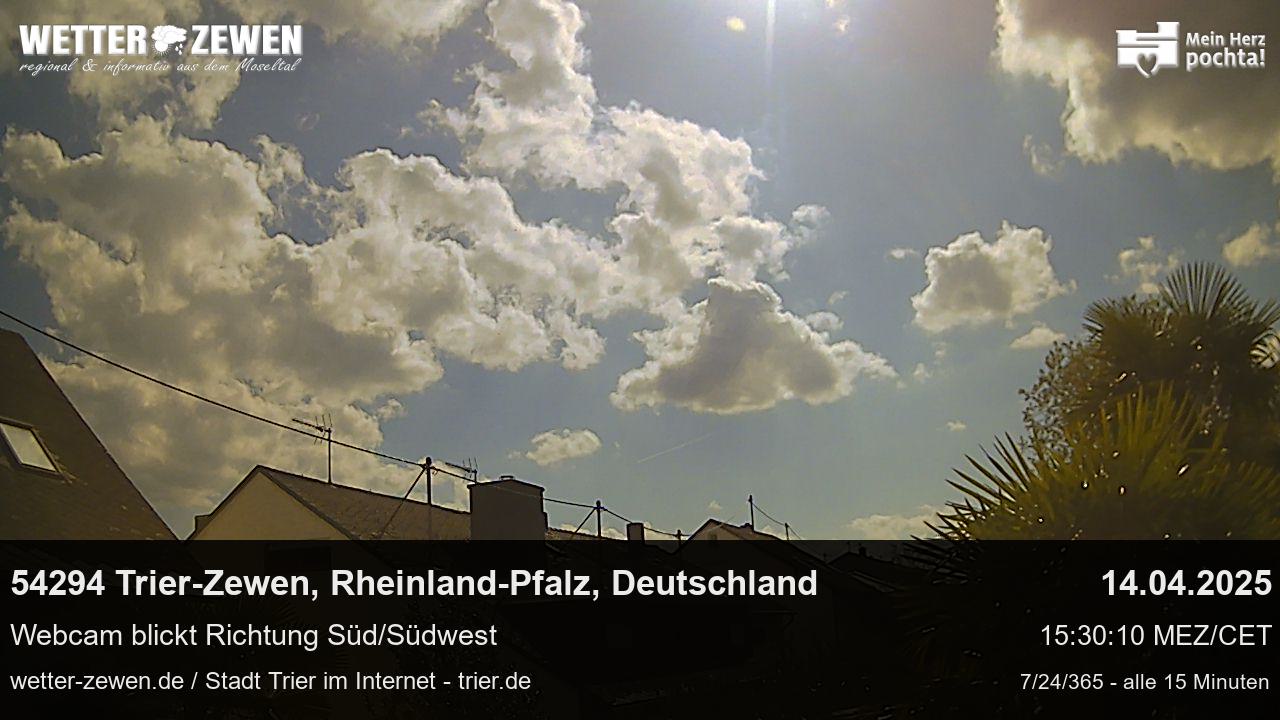 Bild