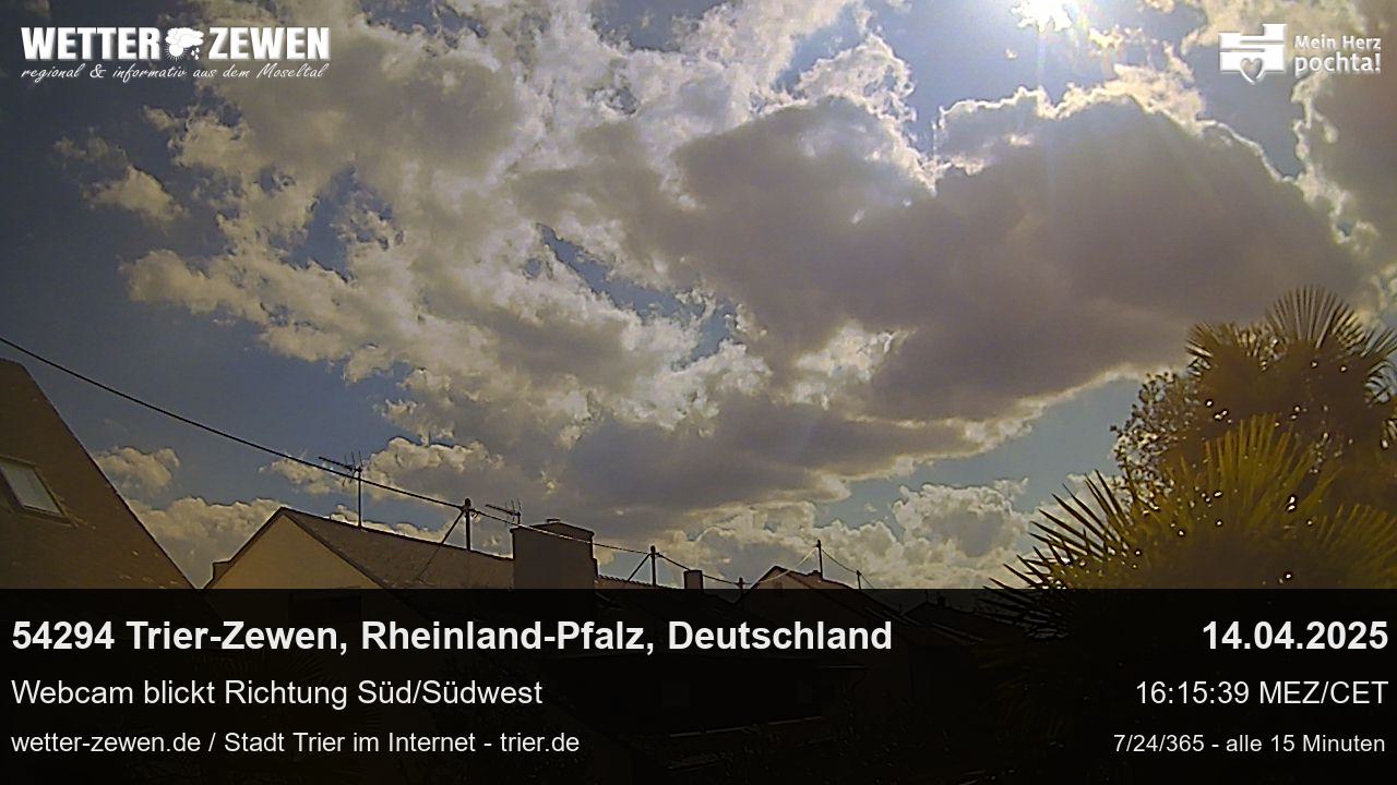 Bild