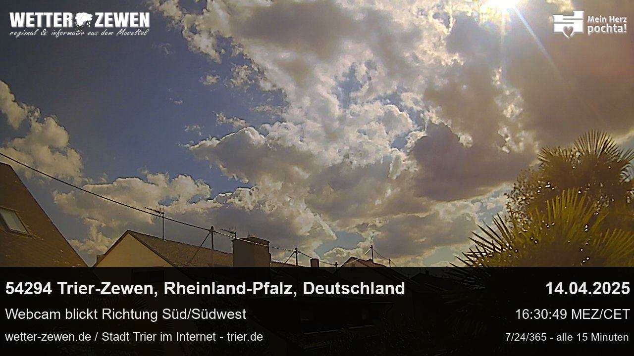 Bild