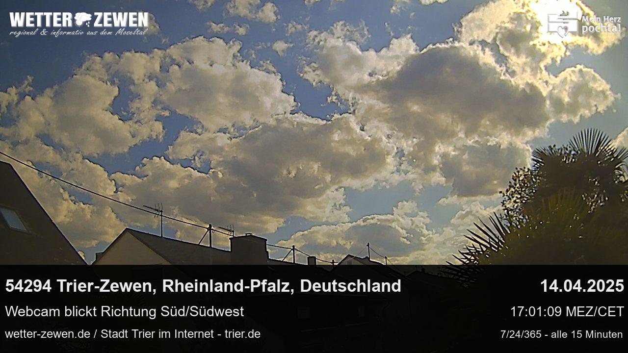 Bild