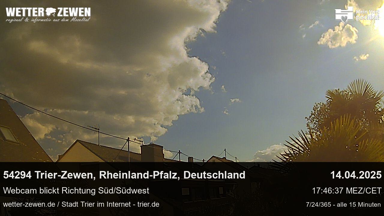Bild