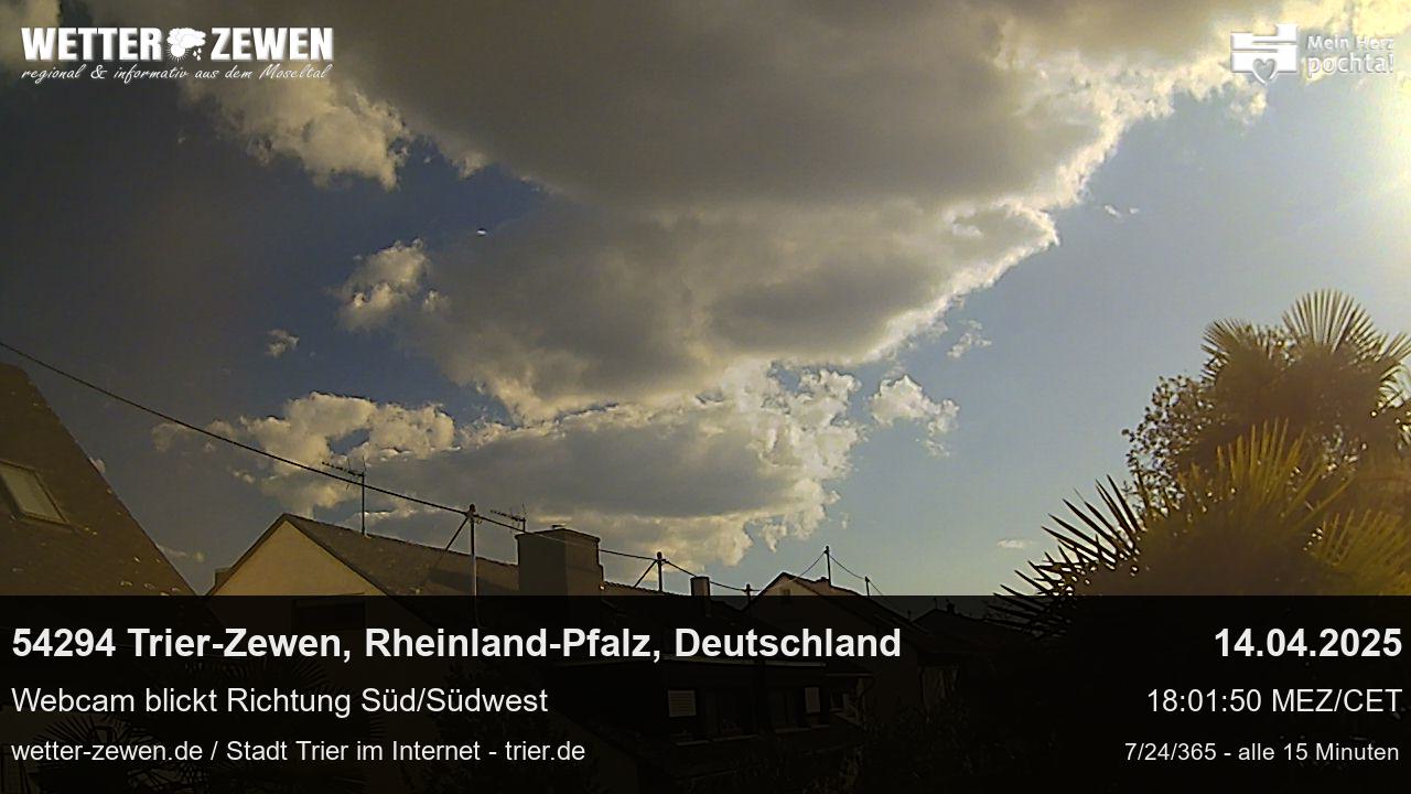 Bild