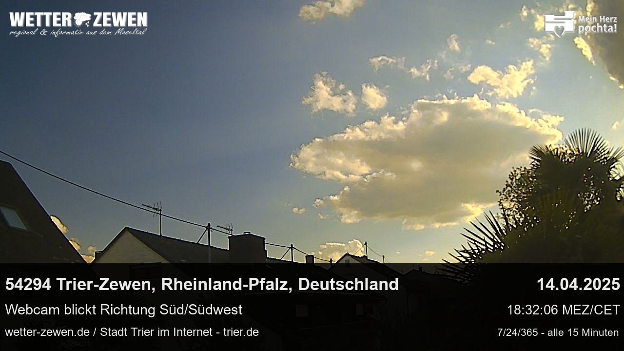 Bild