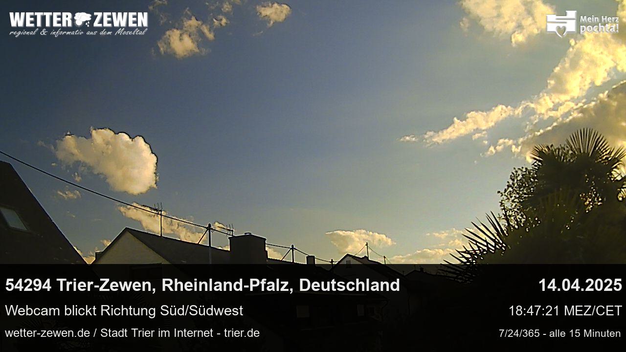 Bild