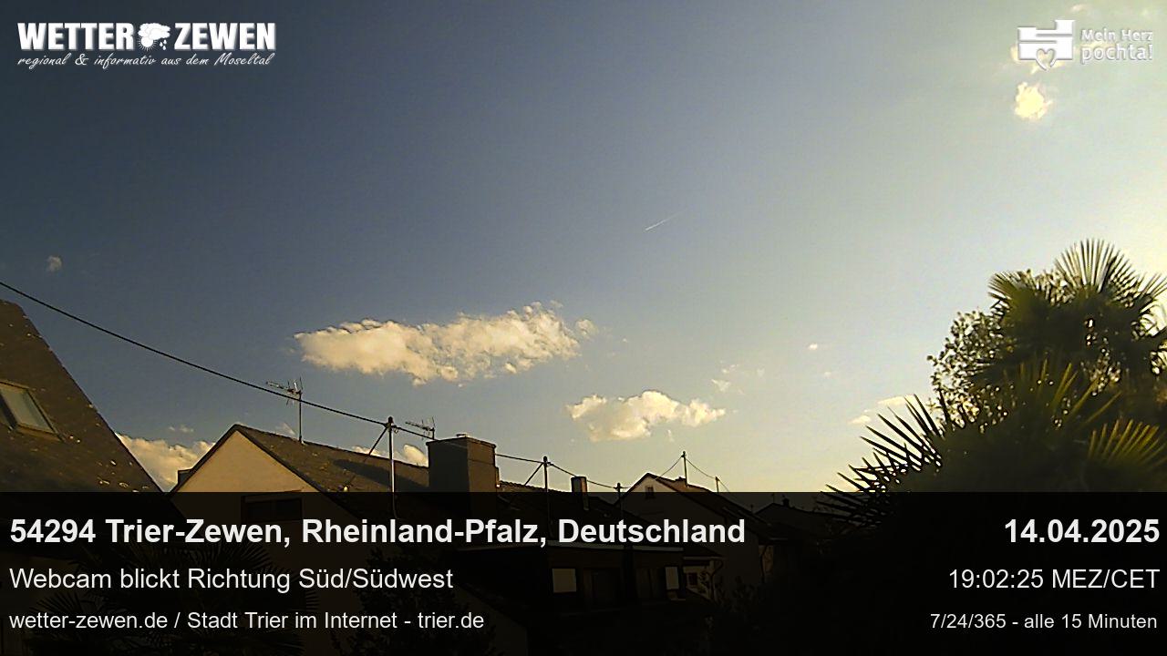 Bild