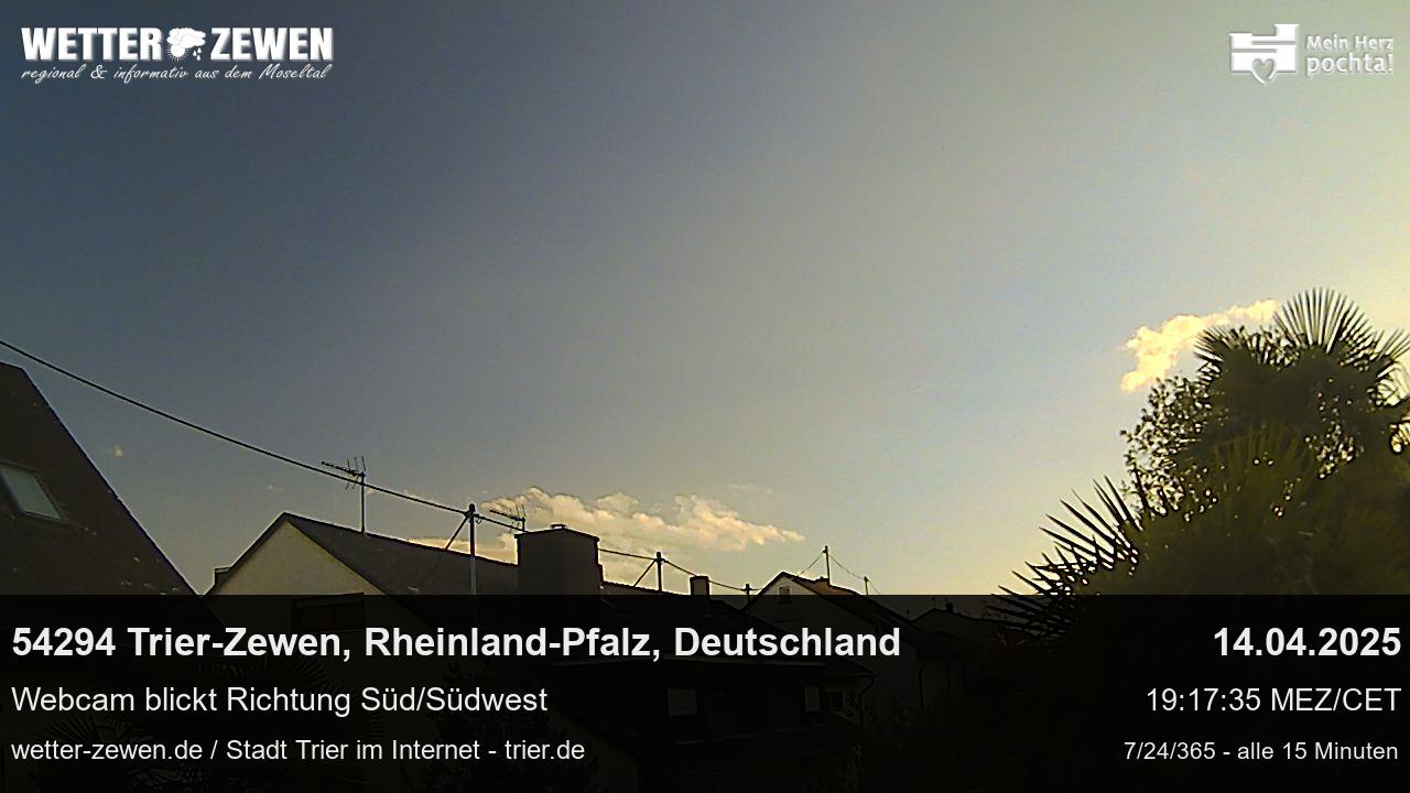 Bild