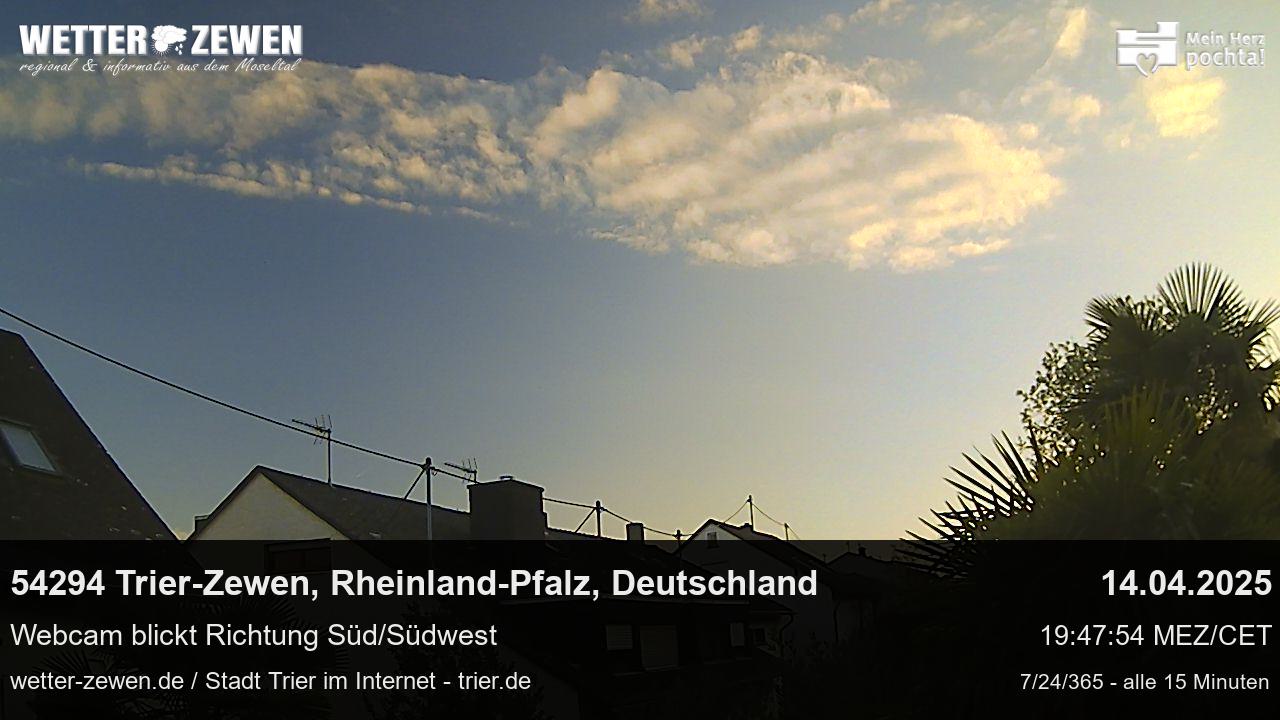 Bild