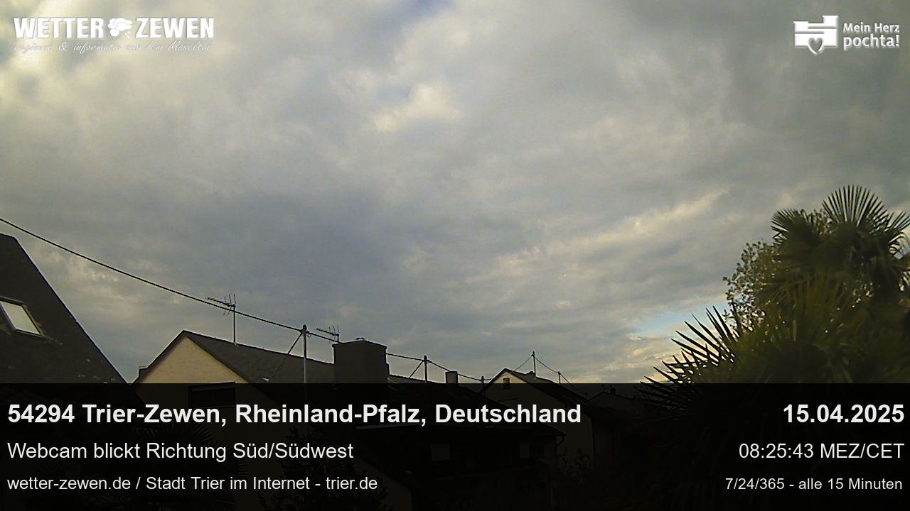 Bild