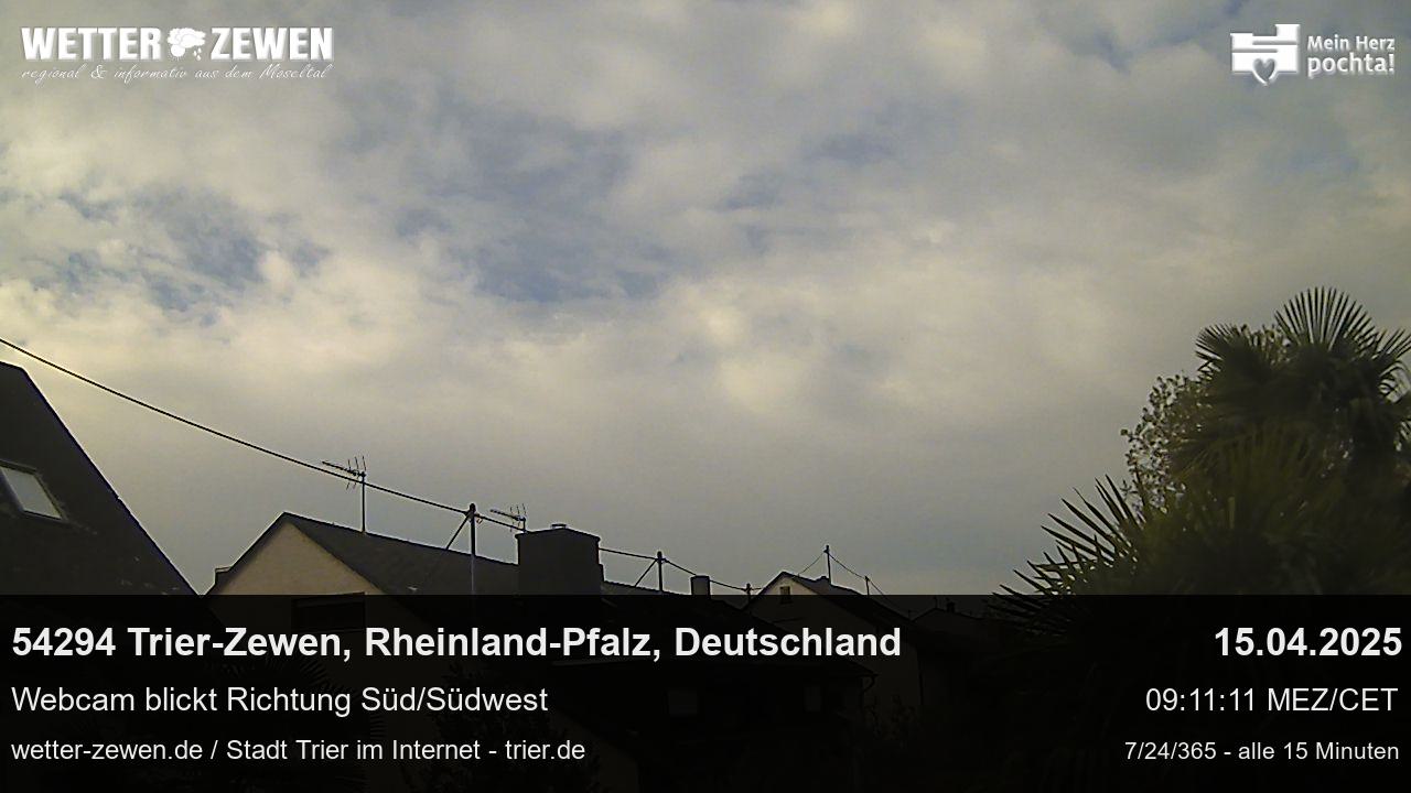 Bild